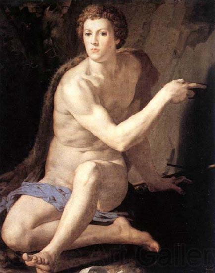 Agnolo Bronzino St John the Baptist Spain oil painting art